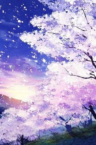 樱花动漫旧版有哪些资源缩略图