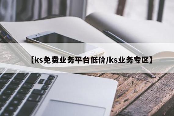 ks低价业务游戏截图