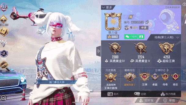 和平精英实力排名前十名缩略图