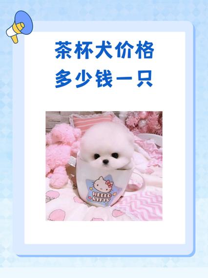泰迪狗多少钱一只游戏截图