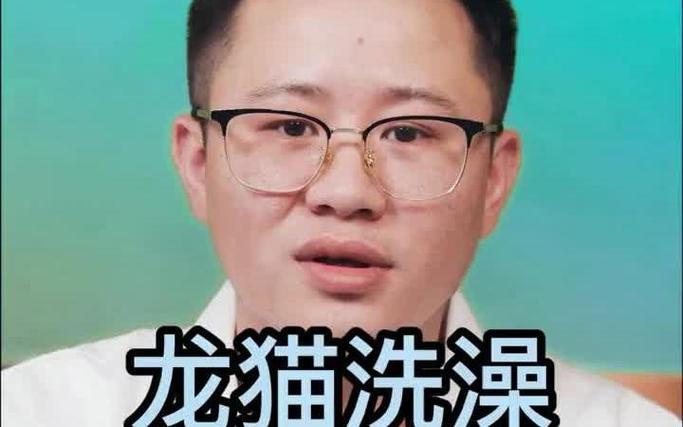 龙猫多长时间洗一次澡缩略图