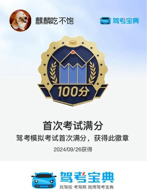 驾考宝典自动答题插件游戏截图