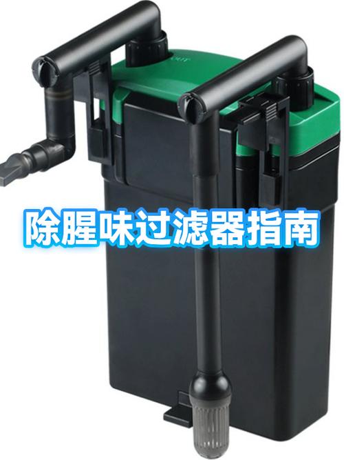 如何去除鱼缸里的鱼腥味缩略图