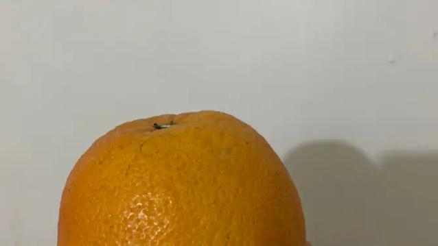 大橙子与小橙子区别游戏截图
