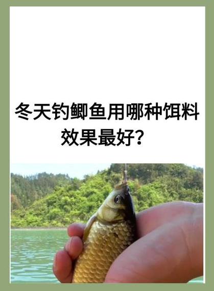 钓鱼最好的饵料第一名缩略图
