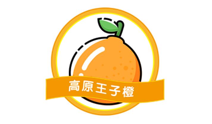 王子橙百度百科缩略图