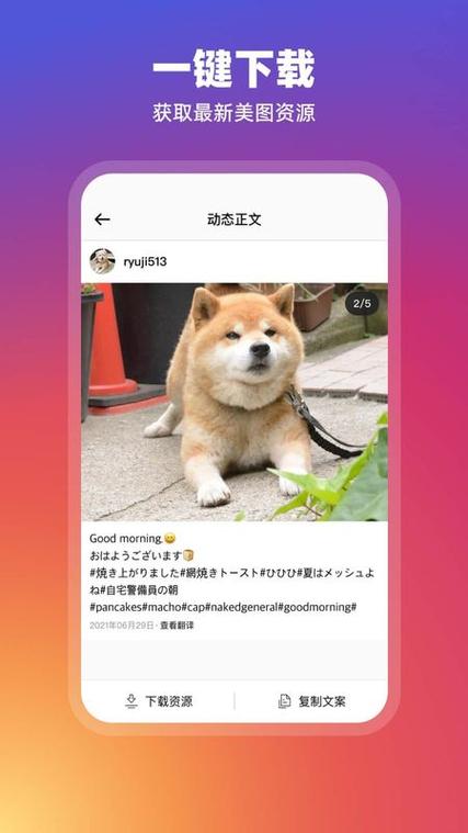 ins滤镜软件下载缩略图