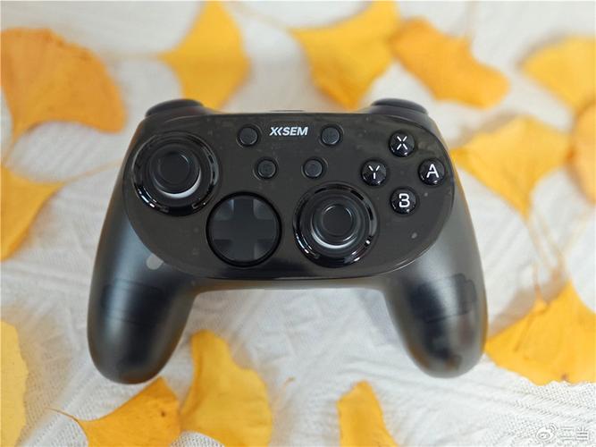 ps3能用其他手柄吗图标