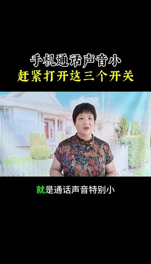 手机打电话说话声音小缩略图