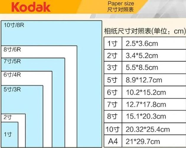 1寸电子版照片尺寸大小缩略图