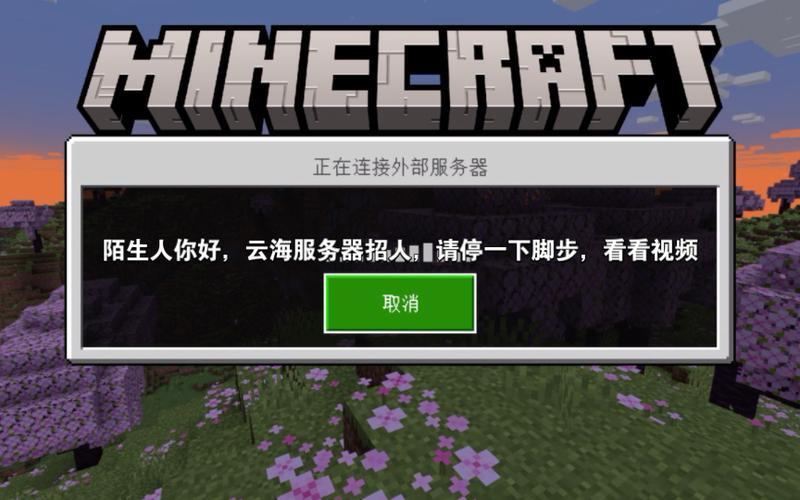 我的世界国际服务图标
