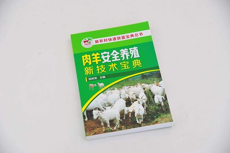 养羊的利润与成本缩略图