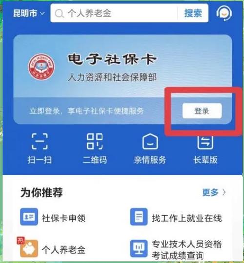 云南网上税务局社保缴费缩略图