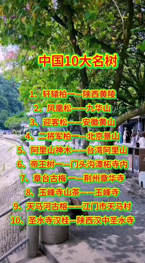 中国十大名树缩略图