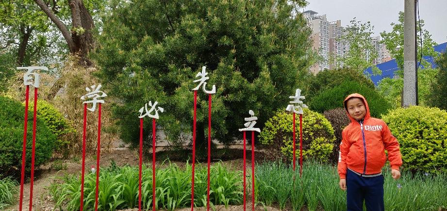 梦想花园花语缩略图