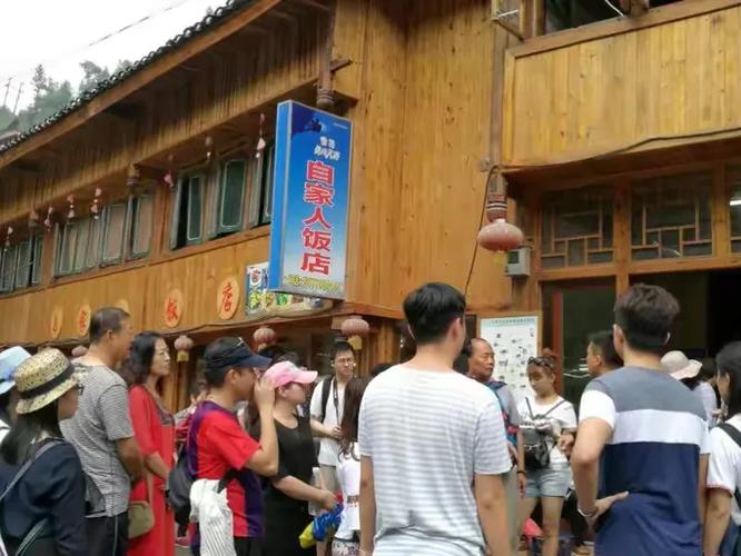 逍遥之田园人生完整版缩略图