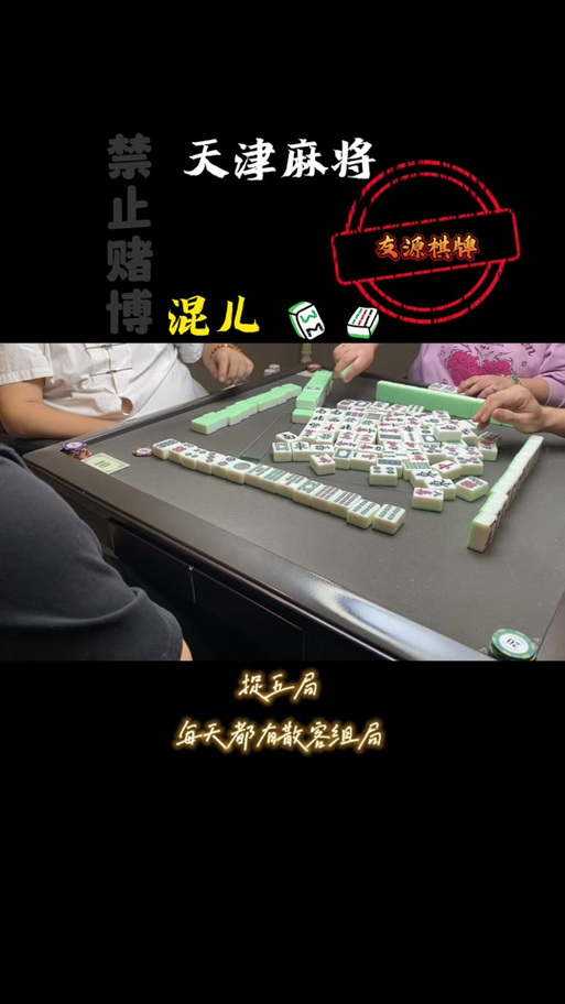 天津麻将安卓单机版缩略图