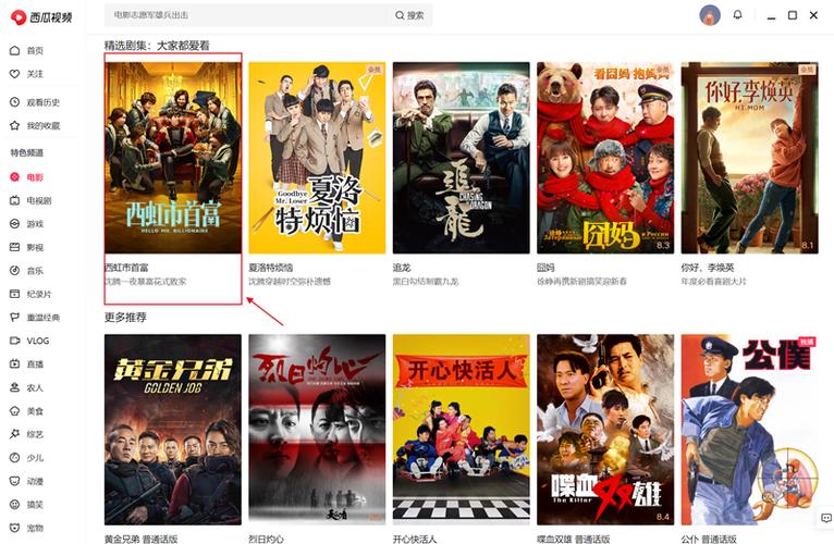 西瓜影视去广告缩略图
