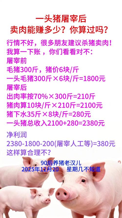养猪50只一年赚多少钱游戏截图