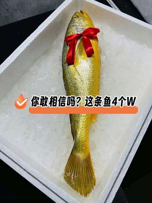 养金鱼一年能赚多少钱游戏截图