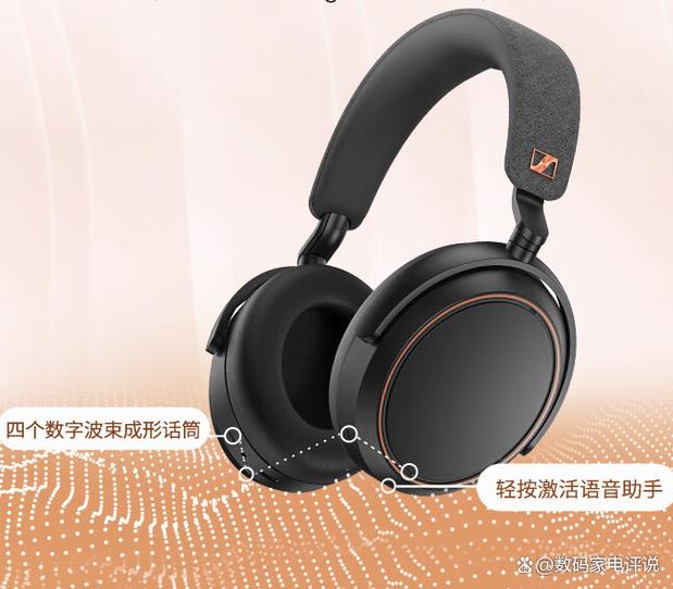 全球排名第一耳机缩略图