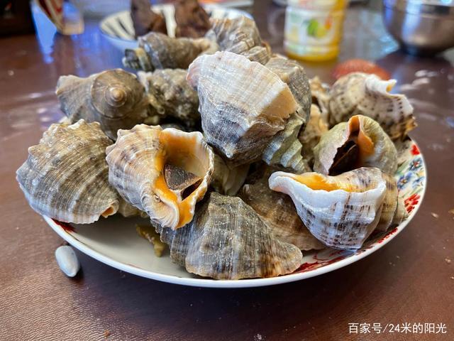 怎么去除海螺壳的腥臭味游戏截图