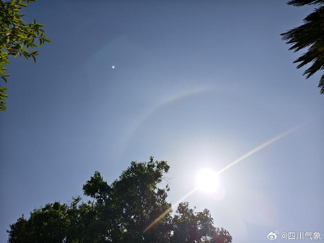阳光拍照缩略图