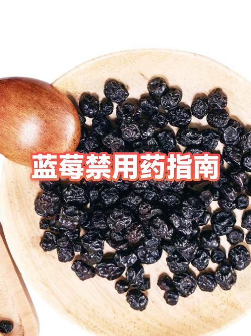 吃蓝莓能过敏吗缩略图