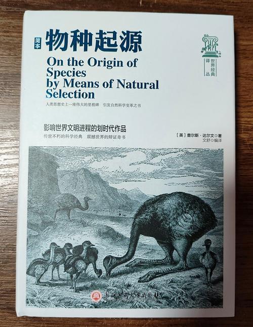 物种起源游客登录缩略图