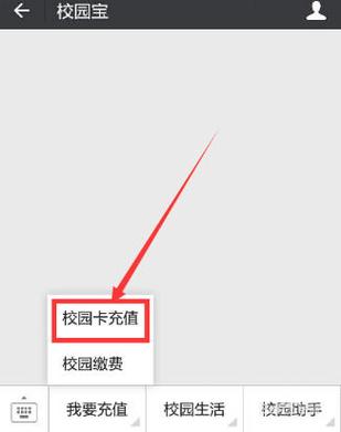 校园一卡通充值游戏截图