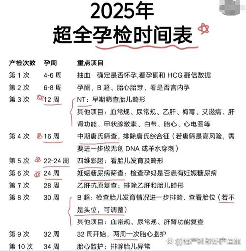 nt检查一般在怀孕几周缩略图