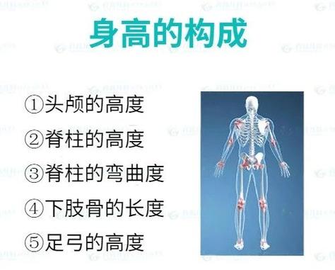 rathke裂隙会影响长高吗缩略图