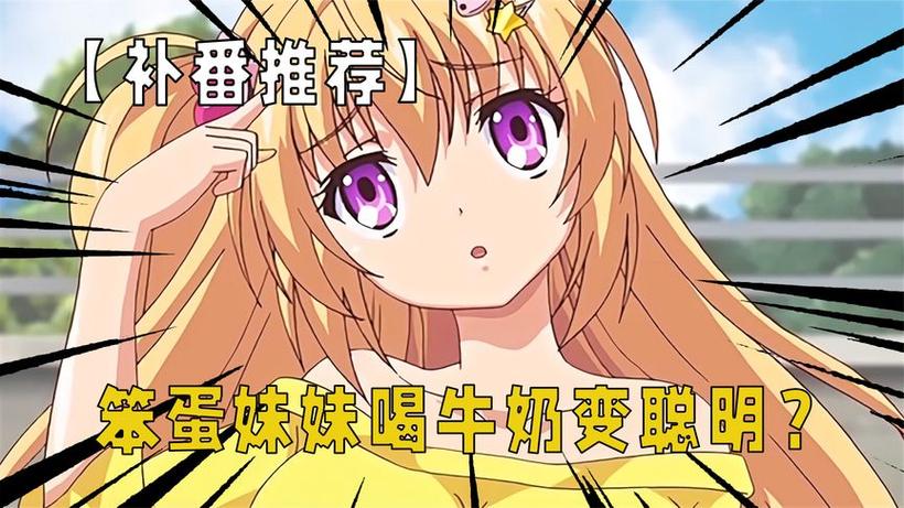 关于把笨蛋妹妹变聪明的只有我动漫缩略图