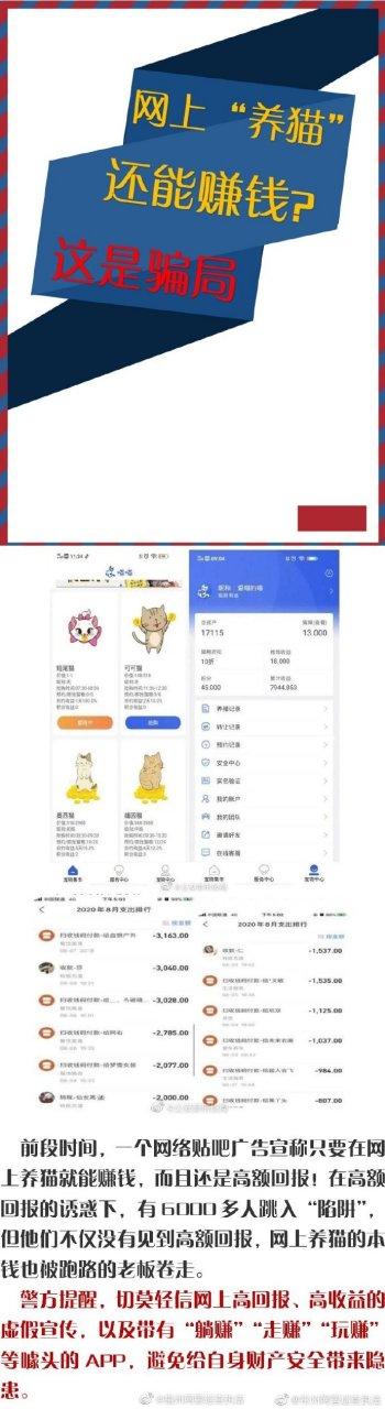 网络养猫赚钱是真的吗缩略图
