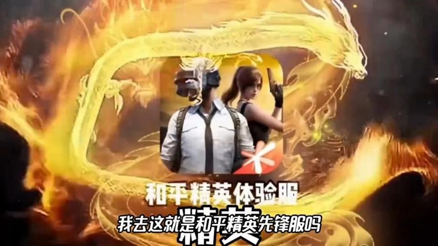 和平精英先锋测试服缩略图