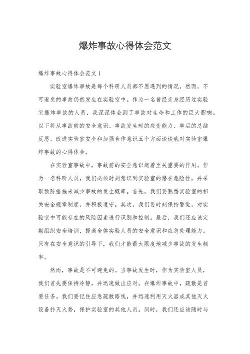 爆炸心得体会300字游戏截图