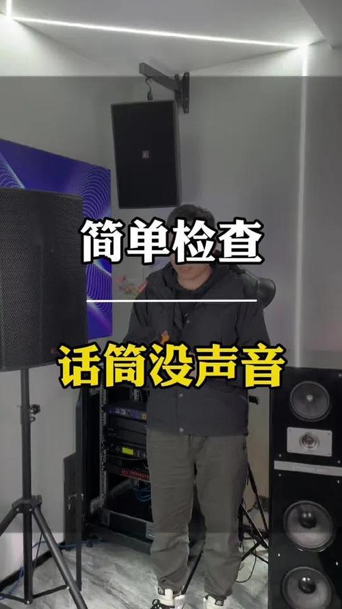 ktv唱歌听不到自己声音缩略图