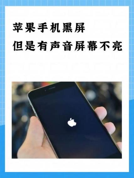 苹果后置摄像头黑屏微信扫一扫好缩略图