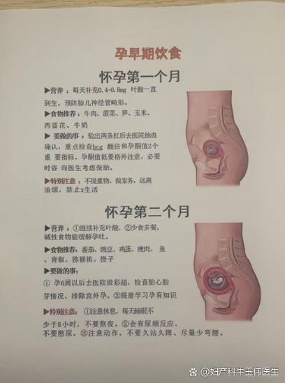 十二天一条杠但怀孕了缩略图