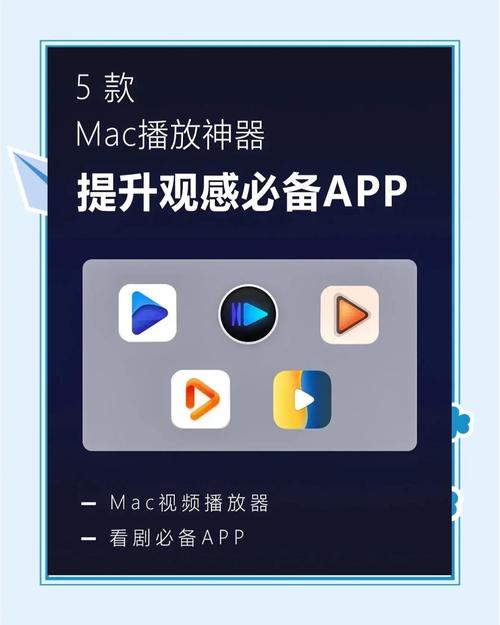纯净播放器推荐缩略图
