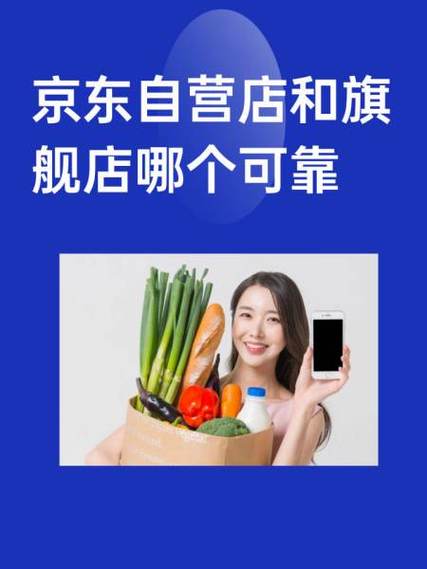 京东自营和旗舰店区别游戏截图