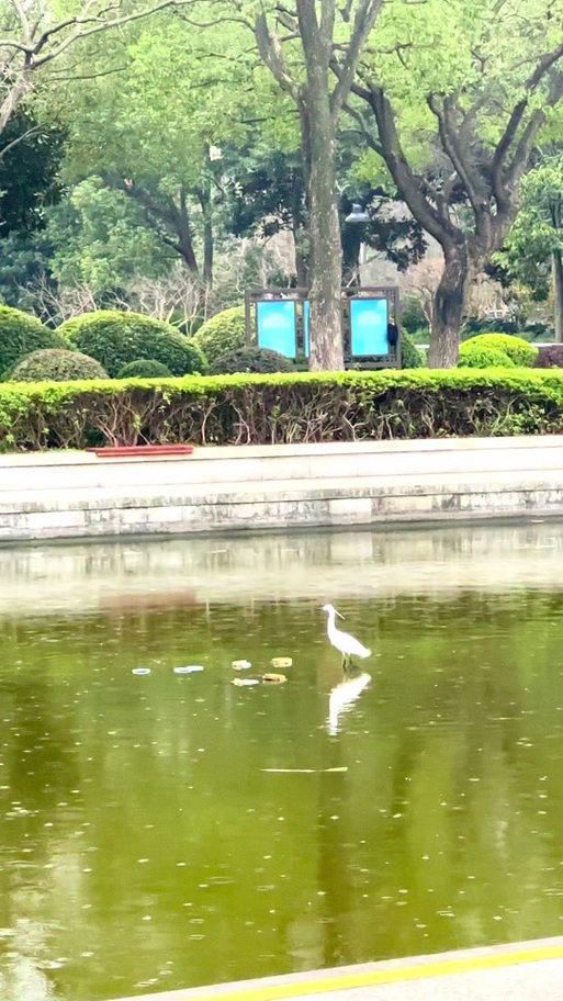 如何关闭相机延时摄影游戏截图