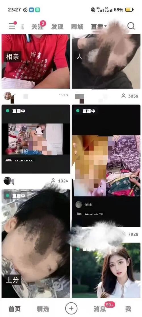 快手直播伴侣无法录竖屏游戏截图