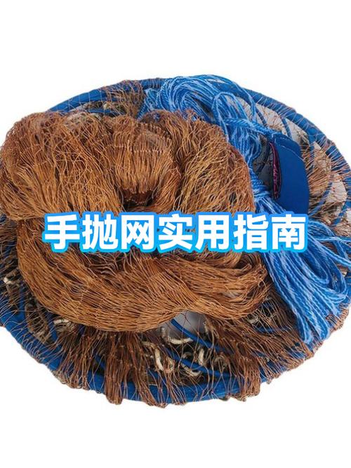 抛网多少钱一张缩略图