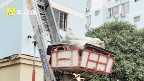 找搬运工人在哪个平台游戏截图
