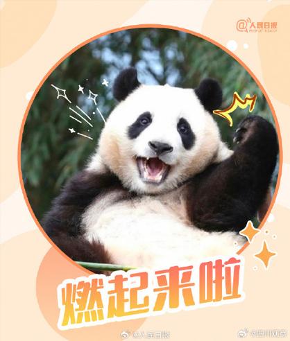 熊猫转发缩略图