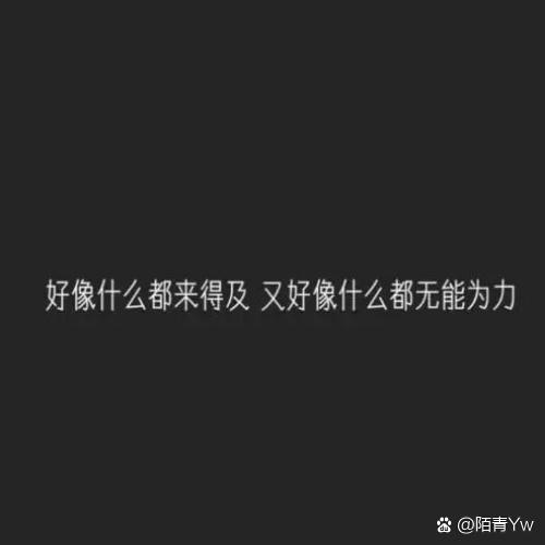 yw网络暗语什么意思游戏截图