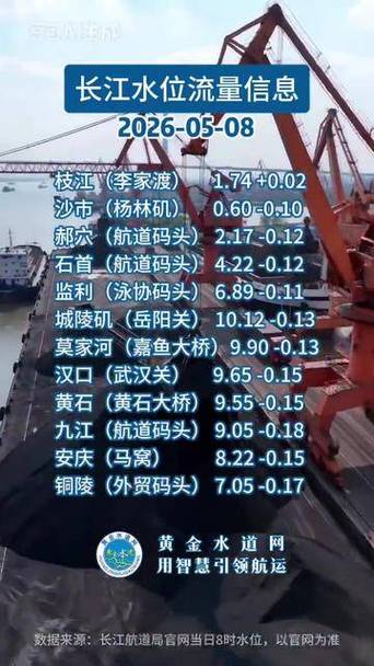 长江水位24小时实时水情表游戏截图