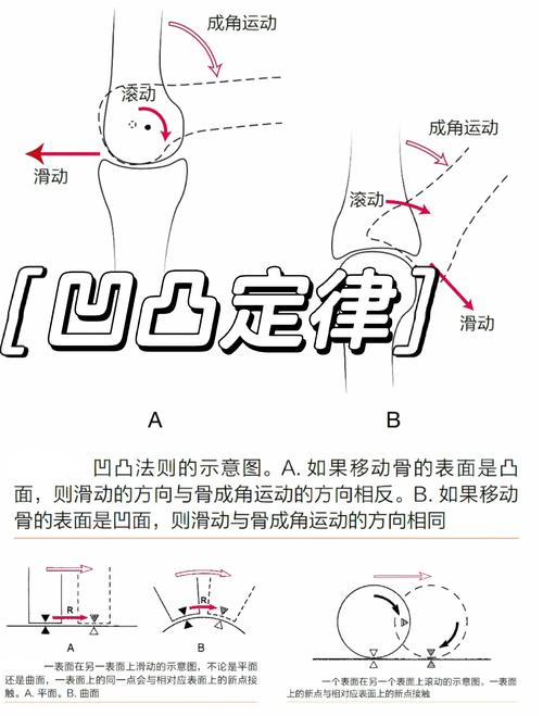 苹果手机怎么设置左右滑动缩略图