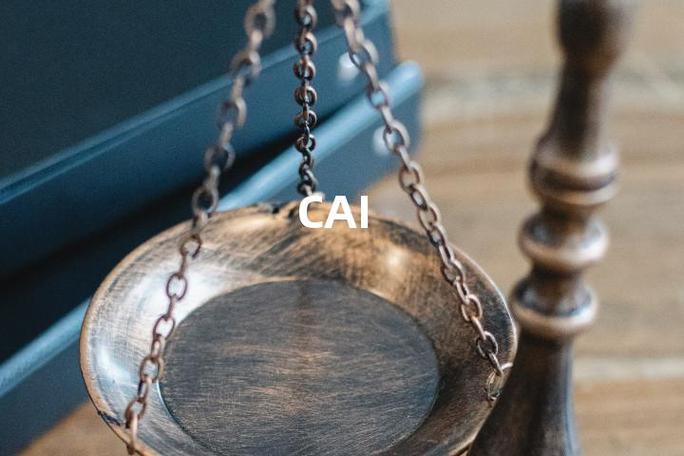 cai代表什么意思缩略图